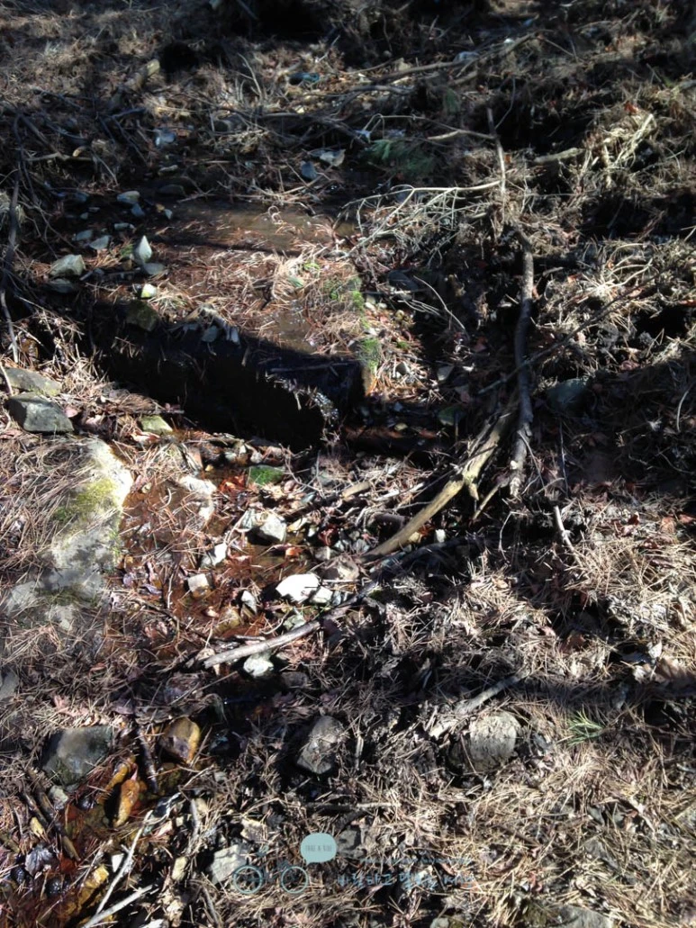 IMG_1464-_Wide1080mark.jpg?type=w773