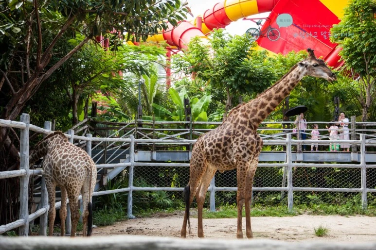 IMG_0769_wide1080%EB%B0%94%EB%9E%8Cmark.jpg?type=w773