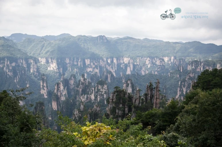 IMG_1194_Wide1080mark%EB%B0%94%EB%9E%8C.jpg?type=w773