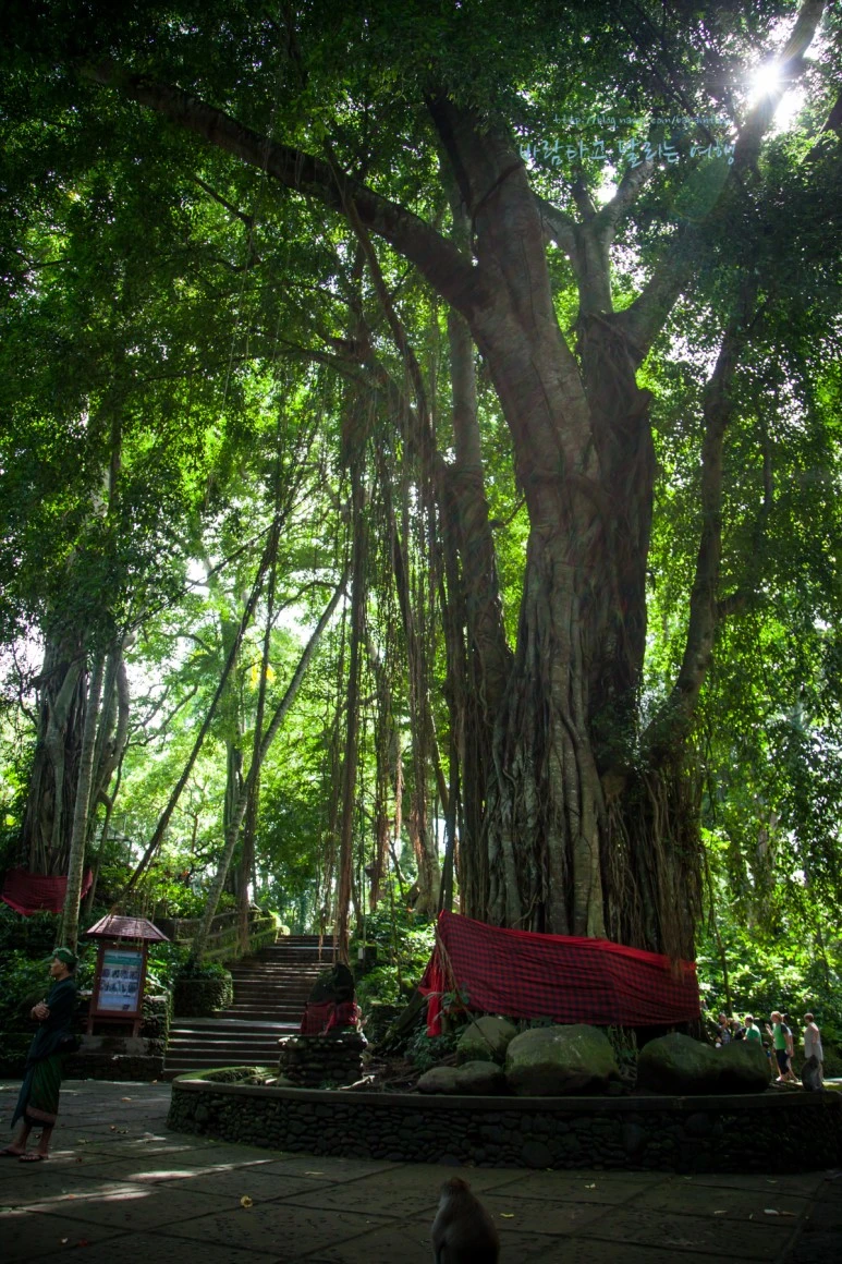 5D_IMG_1745_Short1200mark%EB%B0%94%EB%9E%8C.jpg?type=w773