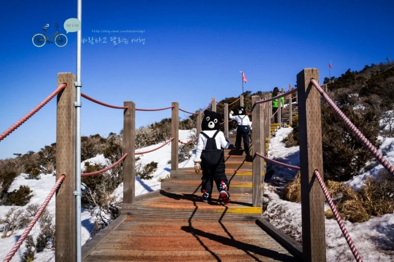 DSC00099_3.jpg?type=w773