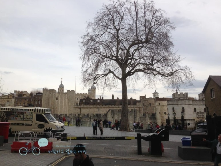 IMG_1747.jpg?type=w773