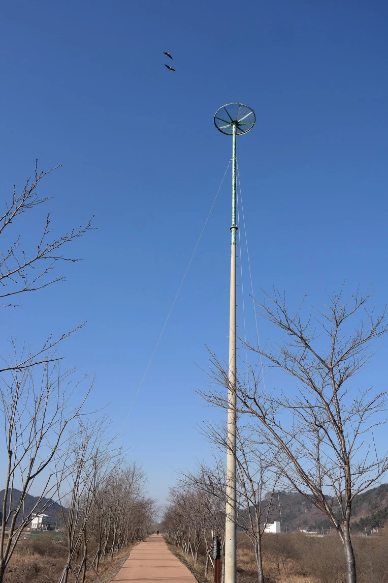 SAM_0182.jpg?type=w773