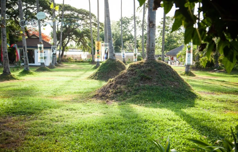 IMG_1312_Wide1080mark%EB%B0%94%EB%9E%8C%ED%83%80%EA%B3%A0.jpg?type=w773