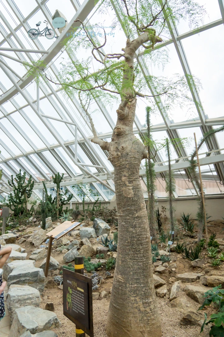 DSC03762_Wide1080.jpg?type=w773