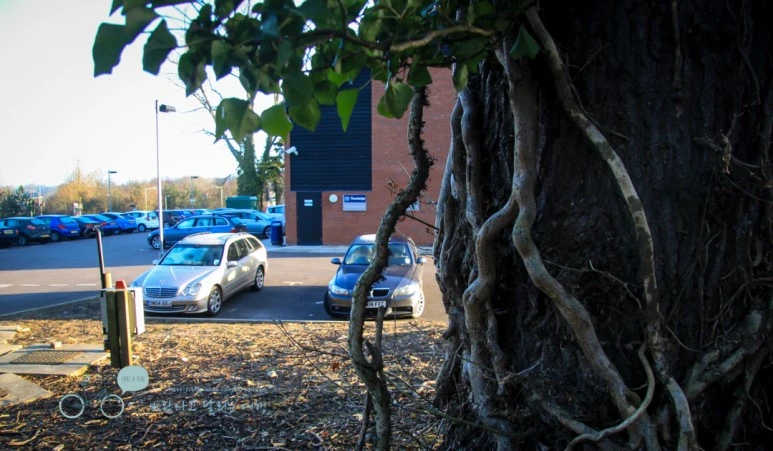 IMG_3475.jpg?type=w773