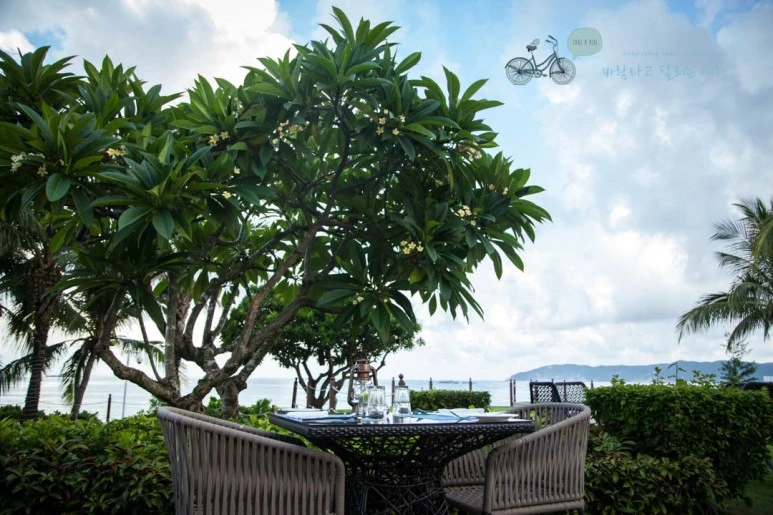 IMG_0879_wide1080%EB%B0%94%EB%9E%8Cmark.jpg?type=w773