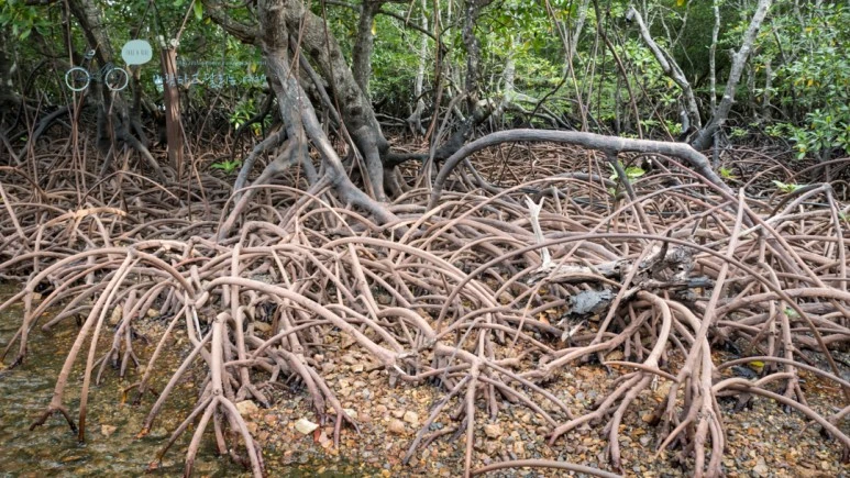 _1010687_Wide1080mark%EB%B0%94%EB%9E%8C%ED%83%80%EA%B3%A0.jpg?type=w773