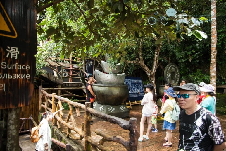 IMG_0301_wide1080%EB%B0%94%EB%9E%8Cmark.jpg?type=w773