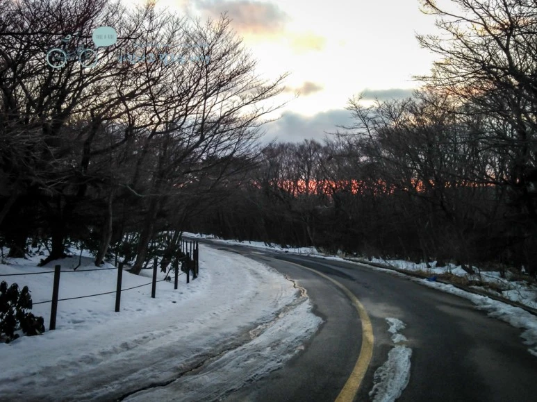 IMG_2688.jpg?type=w773