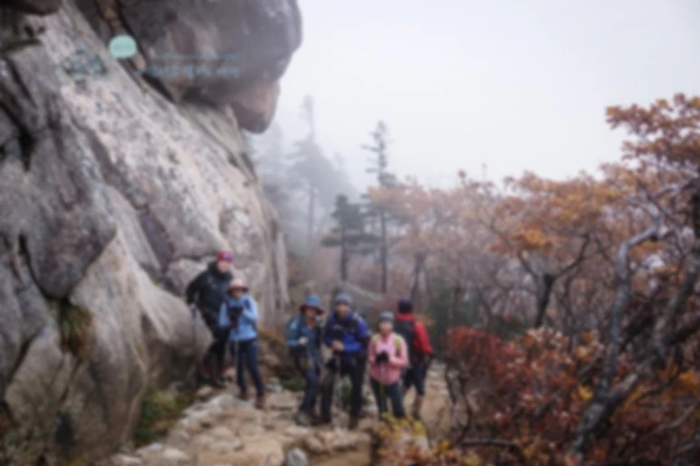 image_6694396361479892819135.jpg?type=w773