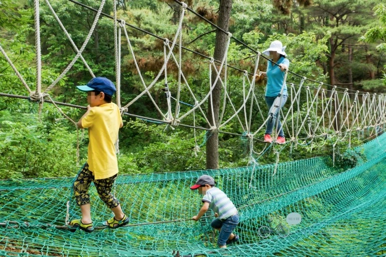 image_5598571021477891064359.jpg?type=w773