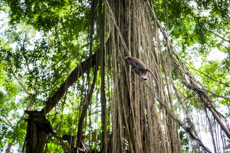 5D_IMG_1794_Short1200mark%EB%B0%94%EB%9E%8C.jpg?type=w773