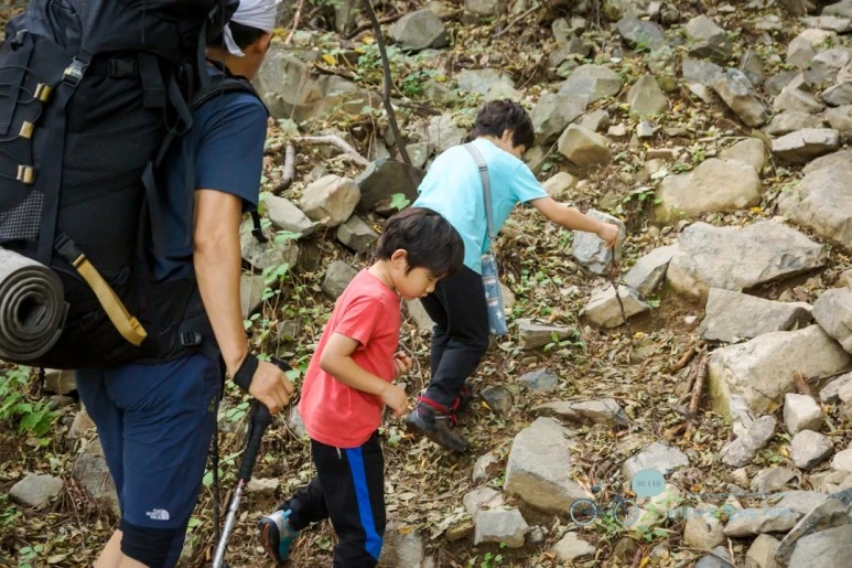 DSC04374_wide1080mark.jpg?type=w773