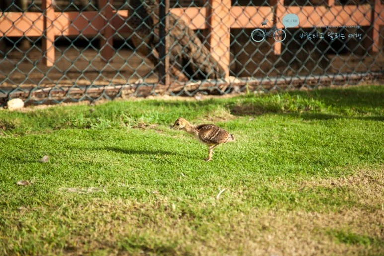 IMG_1795_wide1080%EB%B0%94%EB%9E%8Cmark.jpg?type=w773