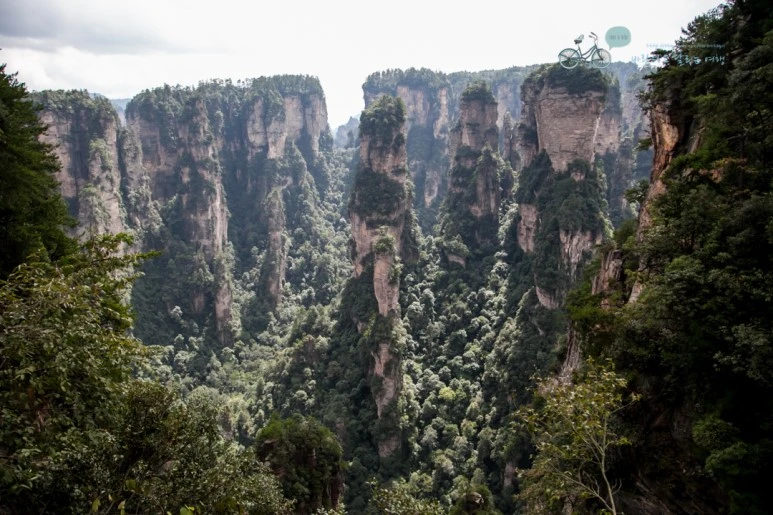 IMG_1268_Wide1080mark%EB%B0%94%EB%9E%8C.jpg?type=w773