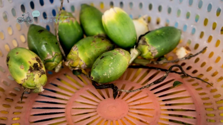 _1020572_Edit_Wide1080mark_%EB%B0%94%EB%9E%8C.jpg?type=w773