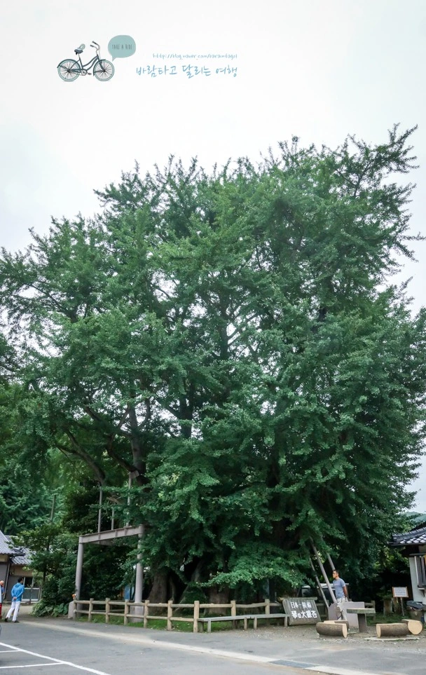 image_8819584151482967987821.jpg?type=w773