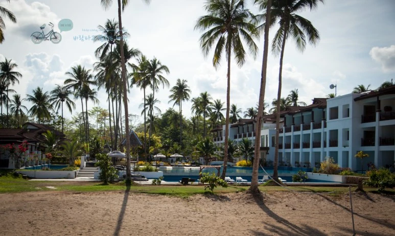 IMG_1123_Wide1080mark%EB%B0%94%EB%9E%8C%ED%83%80%EA%B3%A0.jpg?type=w773