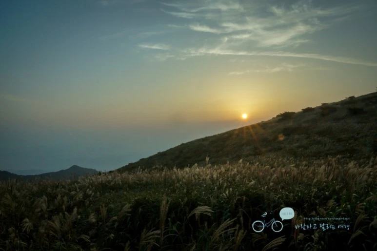 DSC04501_wide1080mark.jpg?type=w773