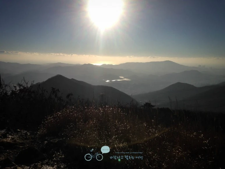 IMG_1395-_Wide1080mark%EB%B0%94%EB%9E%8C.jpg?type=w773