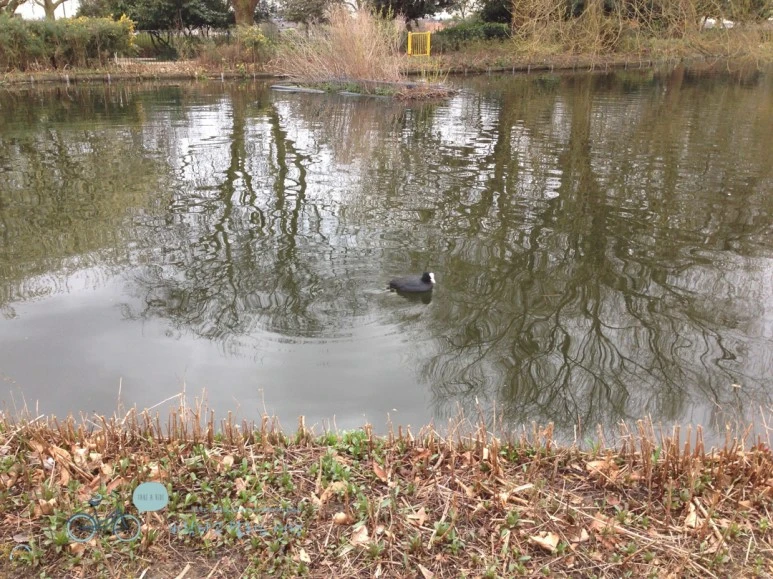 IMG_1541.jpg?type=w773