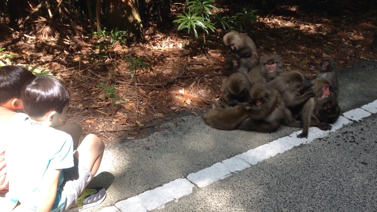 %EC%8A%A4%ED%81%AC%EB%A6%B0%EC%83%B7_2017-02-09_13.21.42.png?type=w773