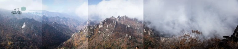 %EB%B2%94%EB%B4%89_%EC%99%80%EC%9D%B4%EB%93%9C_wide1080mark.jpg?type=w773