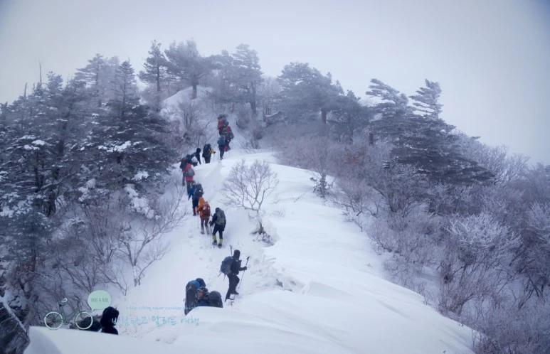 DSC00356.jpg?type=w773