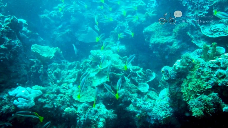 IMG_03_Wide1080mark%EB%B0%94%EB%9E%8C%ED%83%80%EA%B3%A0.jpg?type=w773