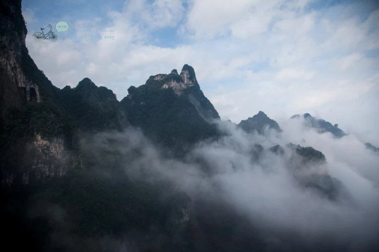 IMG_0076_Wide1080mark%EB%B0%94%EB%9E%8C.jpg?type=w773