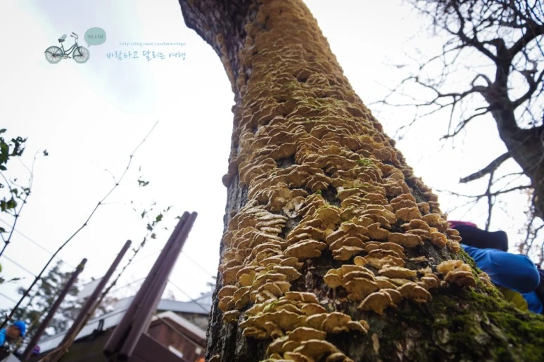 DSC05547_wide1080mark.jpg?type=w773