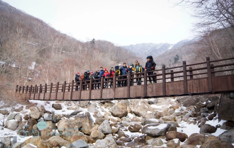 DSC00448.jpg?type=w773