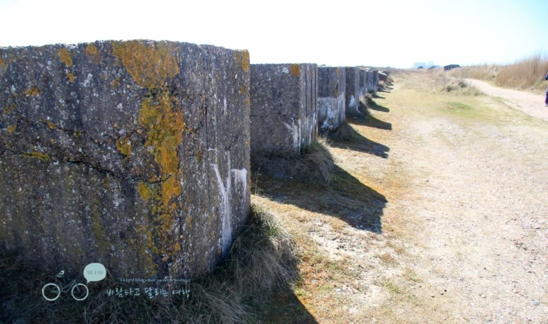 IMG_3717.jpg?type=w773