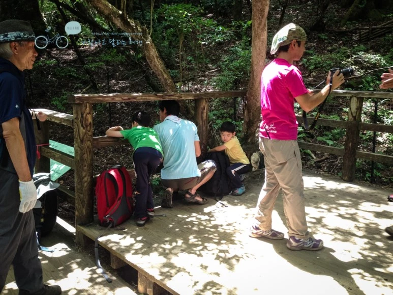 IMG_7965_wide1080mark.jpg?type=w773