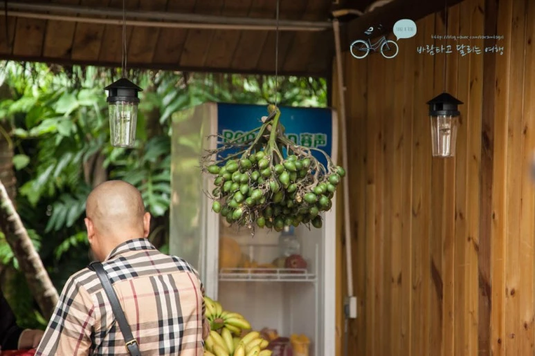 IMG_0434_wide1080%EB%B0%94%EB%9E%8Cmark.jpg?type=w773