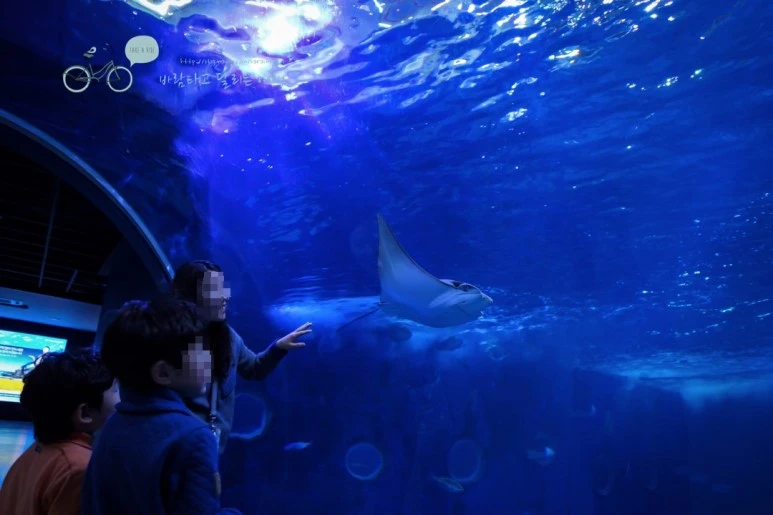 image_3231413541476782665670.jpg?type=w773