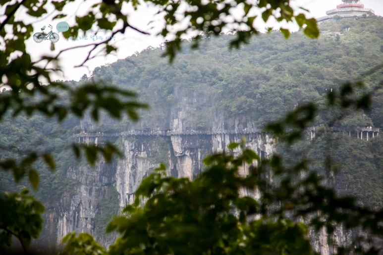 IMG_0275_Wide1080mark%EB%B0%94%EB%9E%8C.jpg?type=w773