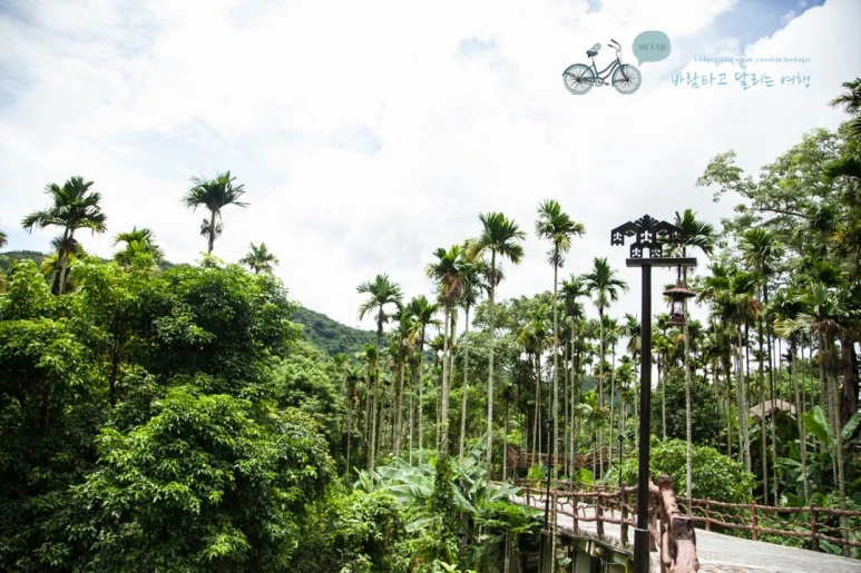 IMG_0426_wide1080%EB%B0%94%EB%9E%8Cmark.jpg?type=w773