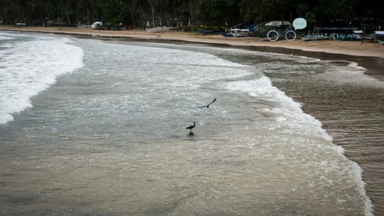 _1020767_Wide1080mark.jpg?type=w773