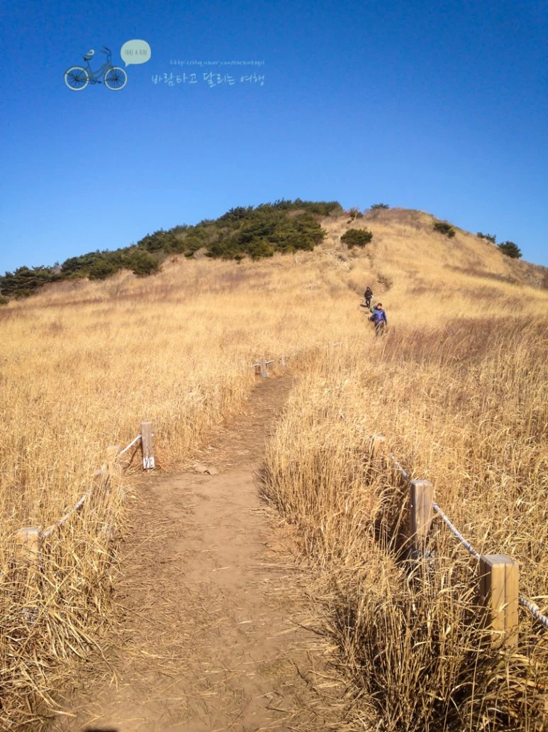 IMG_0210_wide1080mark.jpg?type=w773