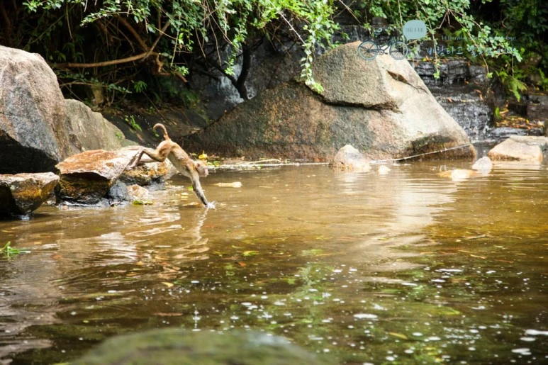 IMG_1409_wide1080%EB%B0%94%EB%9E%8Cmark.jpg?type=w773