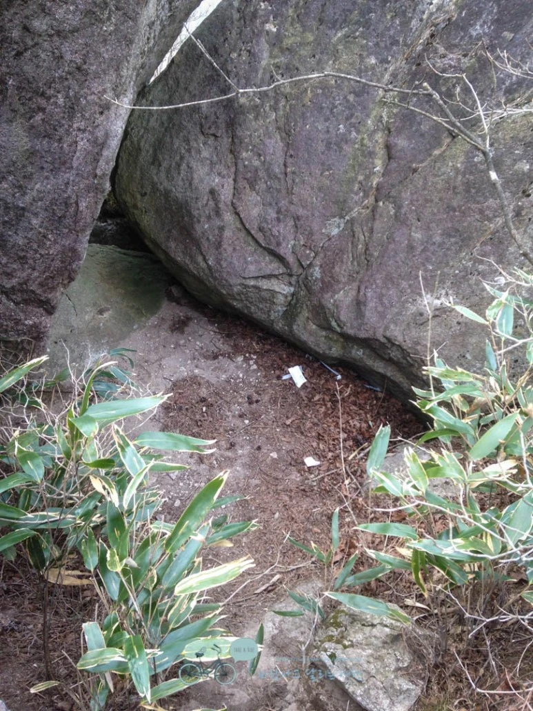 IMG_1865-_Wide1080mark.jpg?type=w773