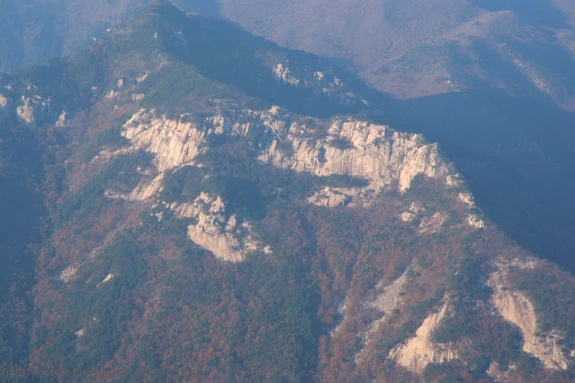 %EB%B0%B1%EC%9A%B4%EC%82%B0_%ED%98%B8%EB%9E%91%EC%9D%B4.jpg?type=w773