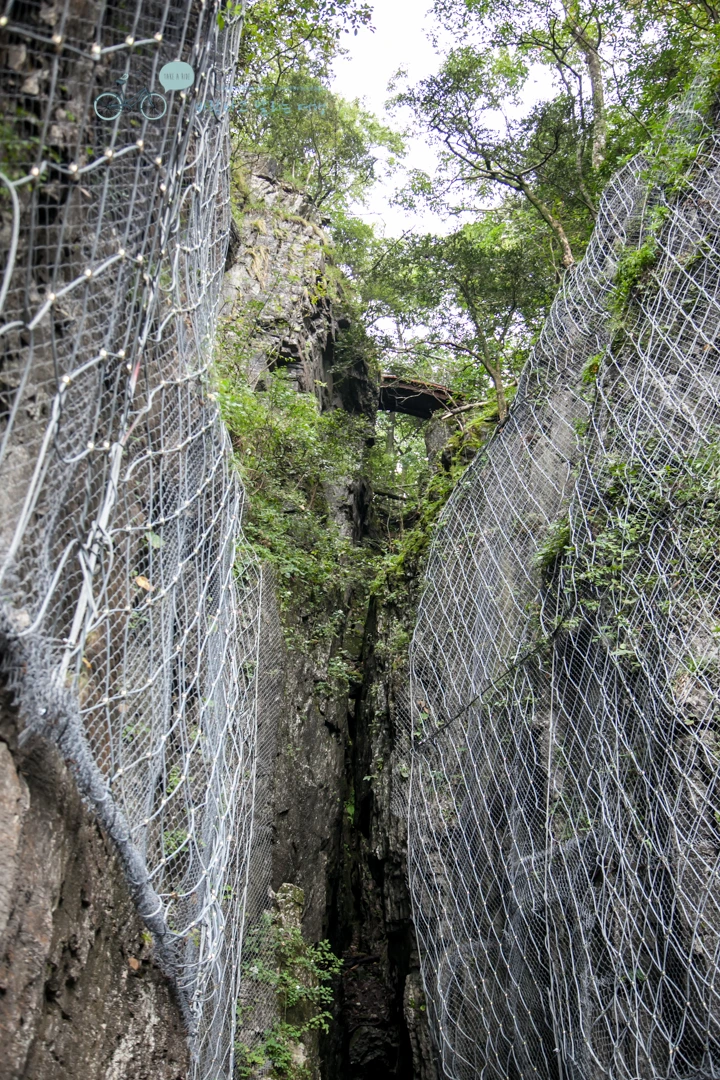 IMG_0197_Wide1080mark%EB%B0%94%EB%9E%8C.jpg?type=w773