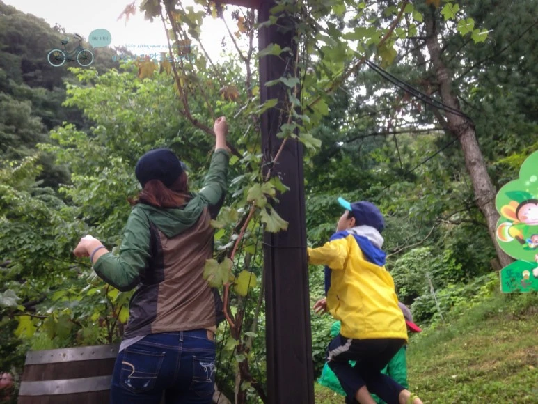 IMG_1751_wide1080mark.jpg?type=w773