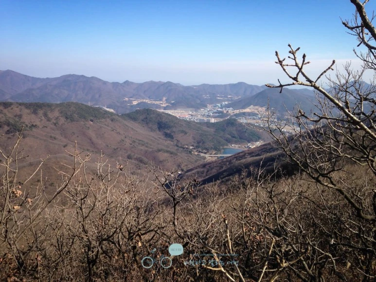 IMG_1472-_Wide1080mark.jpg?type=w773