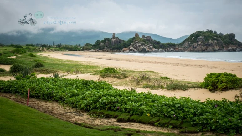 _1010703_wide1080_Wide1080mark_%EB%B0%94%EB%9E%8C.jpg?type=w773