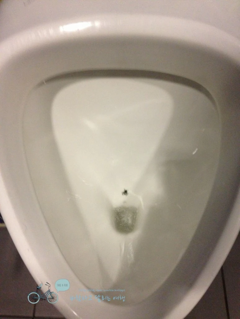 IMG_1507%B9%C0%C7%EE%B0%F8%C7%D7.jpg?type=w773