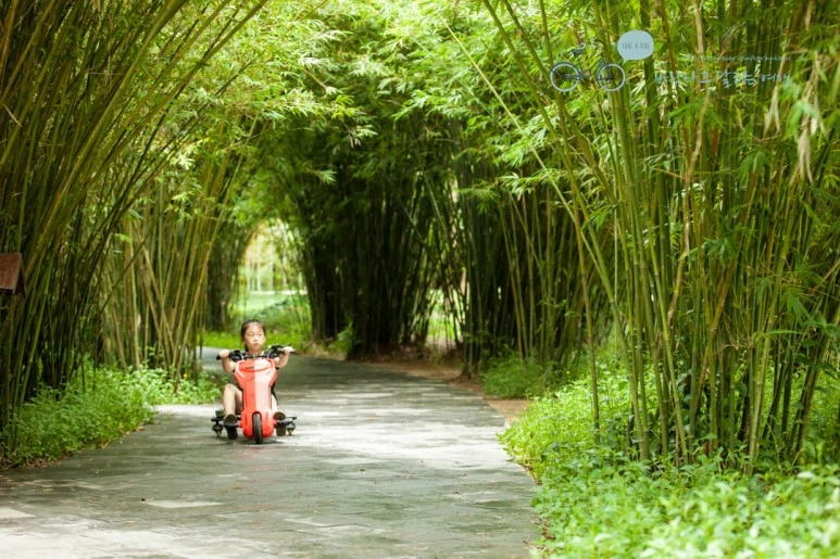 IMG_1500_wide1080%EB%B0%94%EB%9E%8Cmark.jpg?type=w773